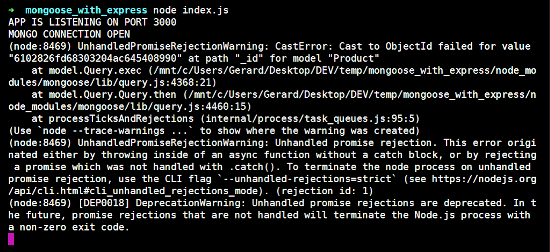 An error message from a Node app with Mongoose